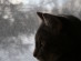 View full size picture