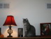View full size picture