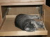 View full size picture