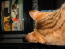 View full size picture