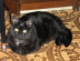 View full size picture