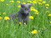View full size picture