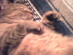 View full size picture