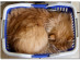 View full size picture