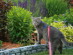View full size picture