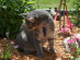 View full size picture