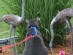 View full size picture