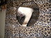 View full size picture