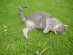 View full size picture