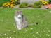 View full size picture