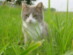 View full size picture