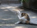 View full size picture
