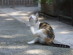 View full size picture