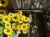 View full size picture