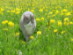 View full size picture