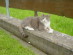 View full size picture