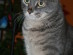 View full size picture