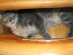 View full size picture