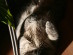 View full size picture