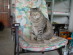 View full size picture