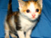 View full size picture