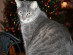 View full size picture