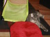 View full size picture