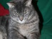 View full size picture