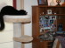 View full size picture