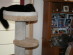 View full size picture