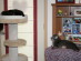 View full size picture