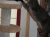 View full size picture