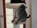View full size picture