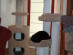 View full size picture
