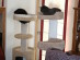View full size picture
