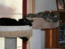 View full size picture