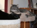 View full size picture