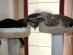 View full size picture