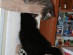 View full size picture