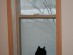 View full size picture