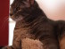View full size picture