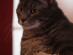 View full size picture