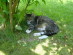 View full size picture
