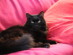 View full size picture