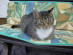 View full size picture