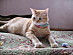 View full size picture