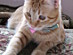 View full size picture