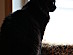 View full size picture
