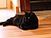 View full size picture