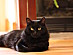 View full size picture